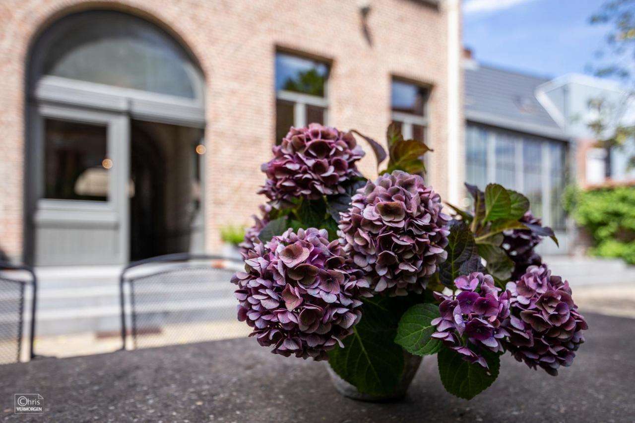 B&B La Corderie Hamme Exterior foto